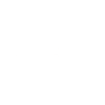 Toshiba_white.png
